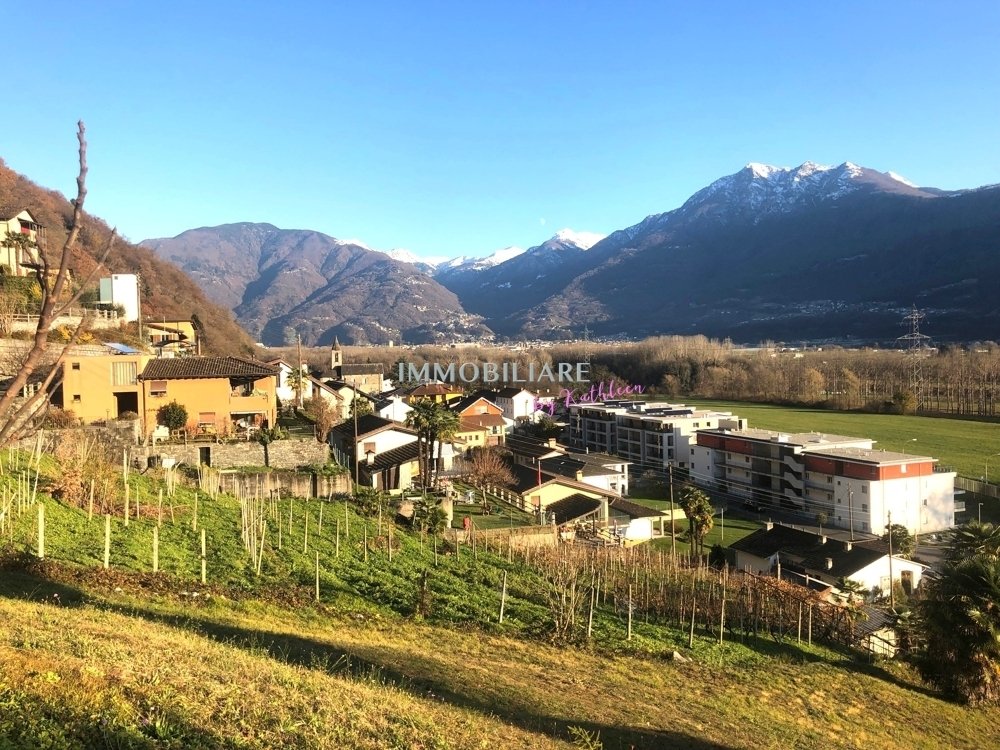 Land in Bellinzona, Ticino, Switzerland 4 - 16798514