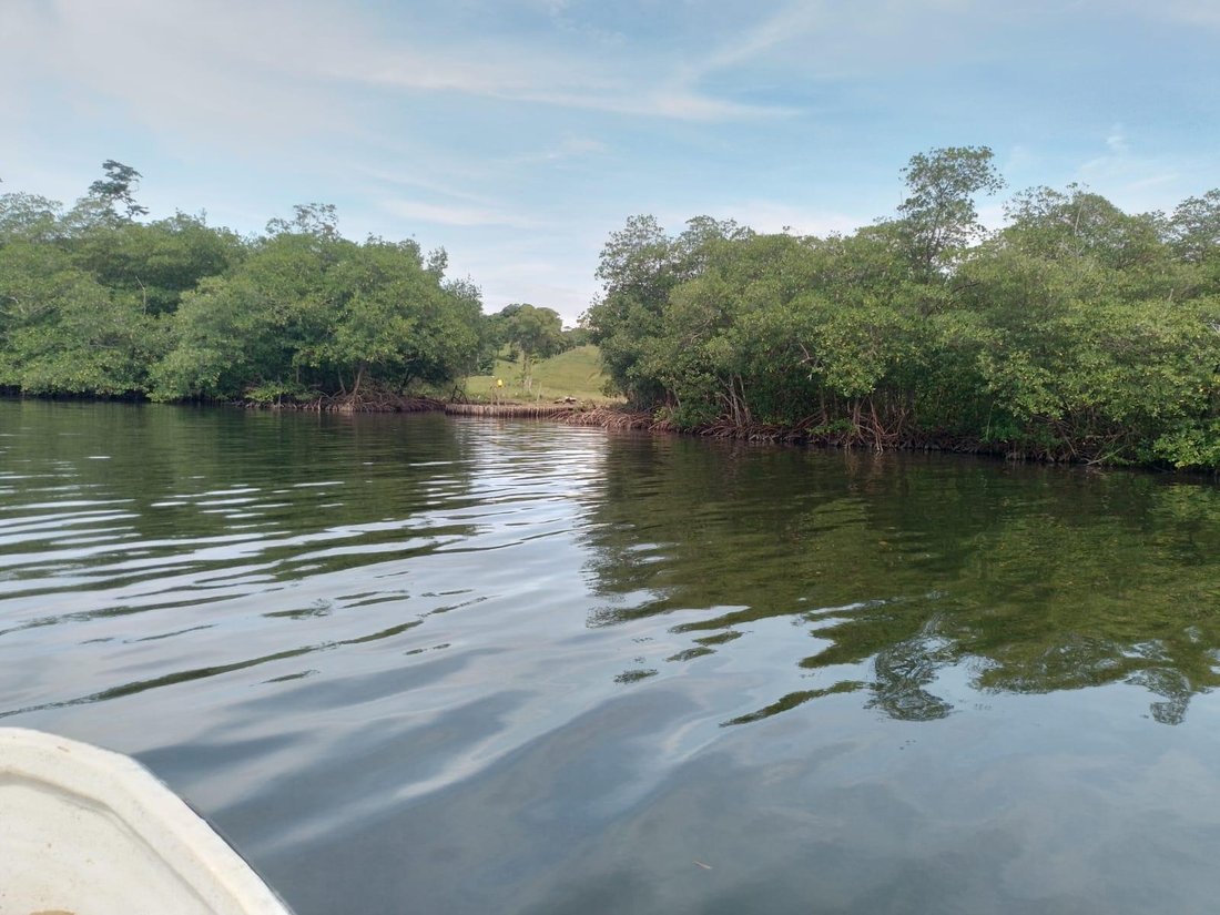 Land in Bocas del Toro, Bocas del Toro Province, Panama 3 - 17856111