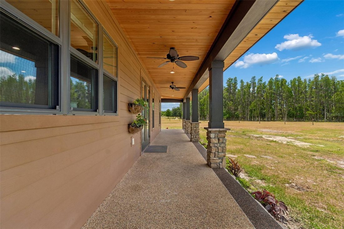 House in Zephyrhills, Florida, United States 4 - 17854974