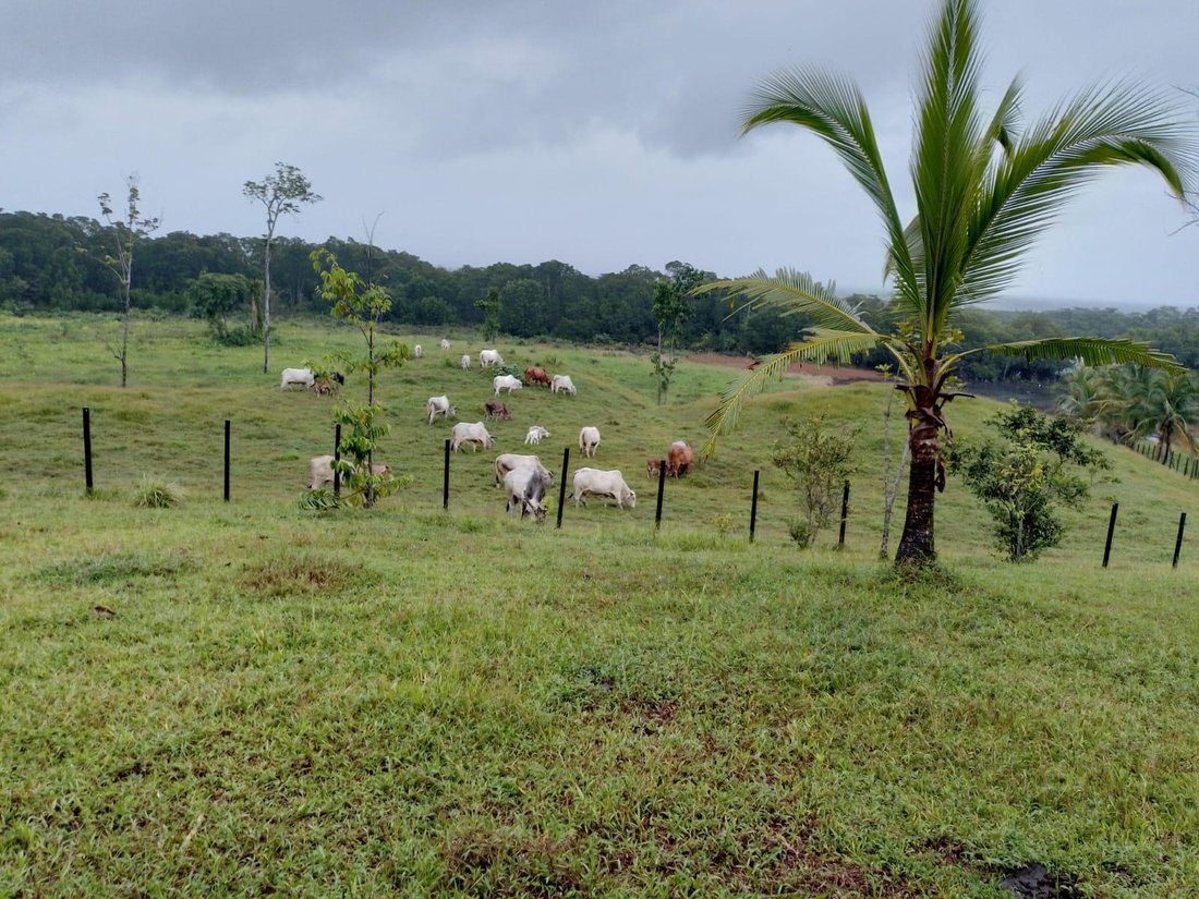 Land in Bocas del Toro, Bocas del Toro Province, Panama 4 - 17856111