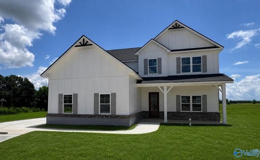 House in Athens, Alabama, United States 1