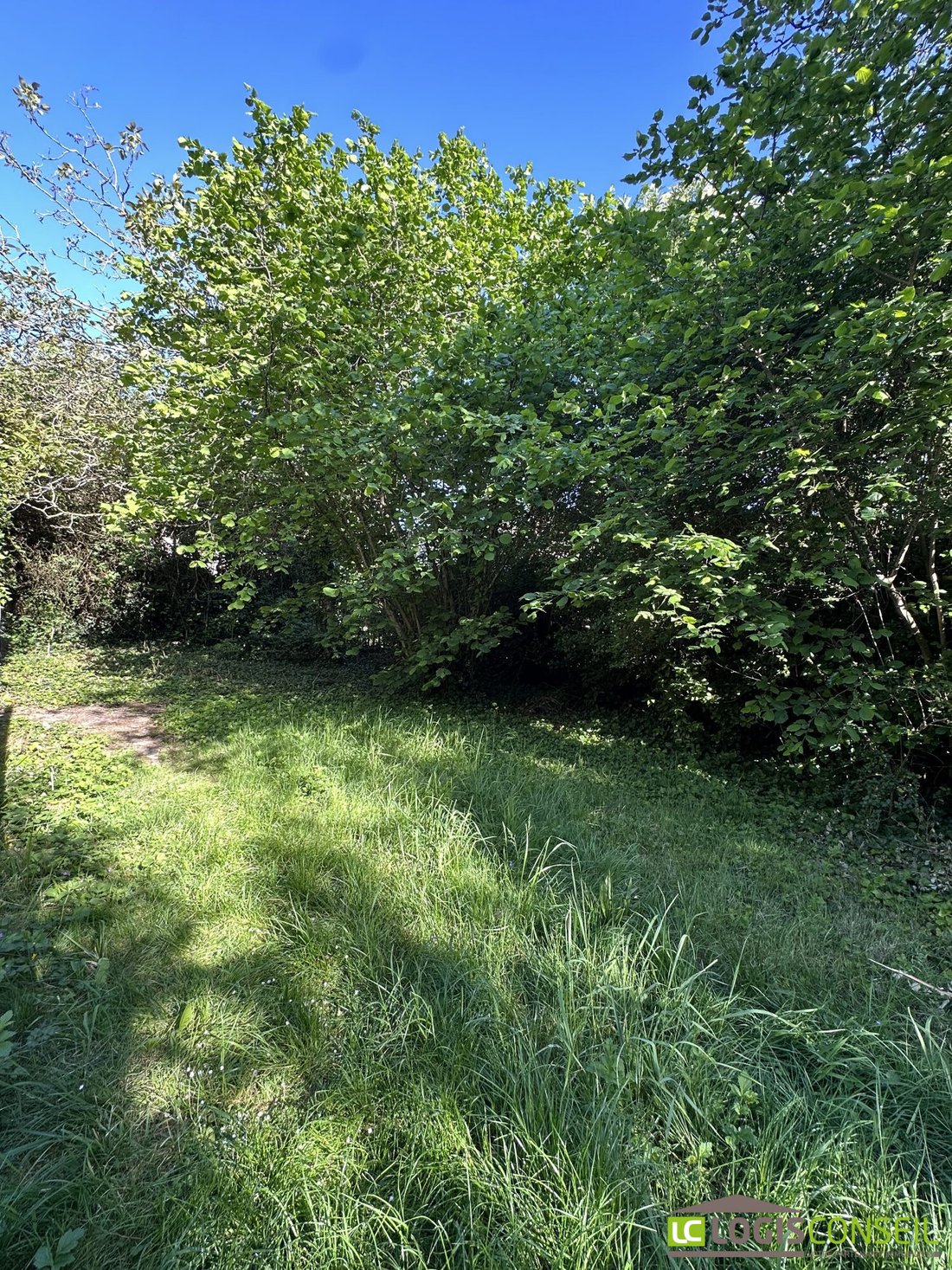 Terreno en Wallon, Le Plessis-Robinson, Francia 5 - 16847251