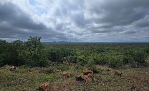 Land in Alldays, Limpopo, South Africa 1