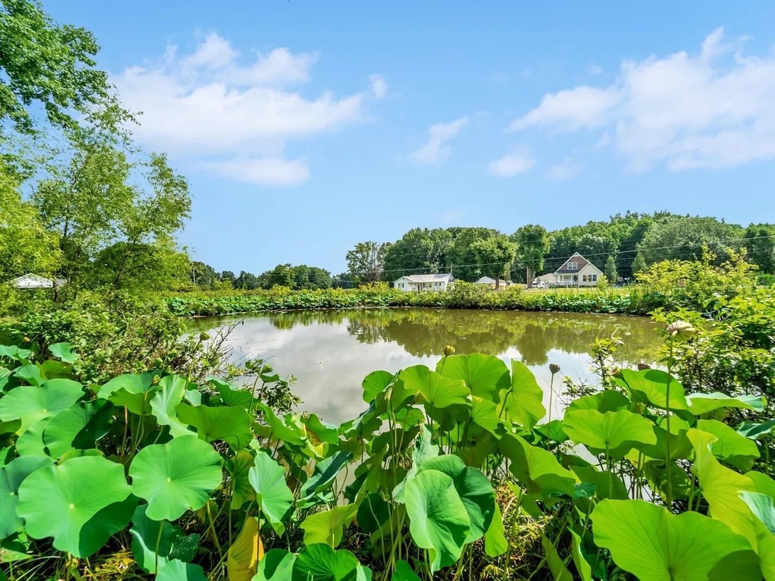 House in Cottontown, Tennessee, United States 5 - 17855667