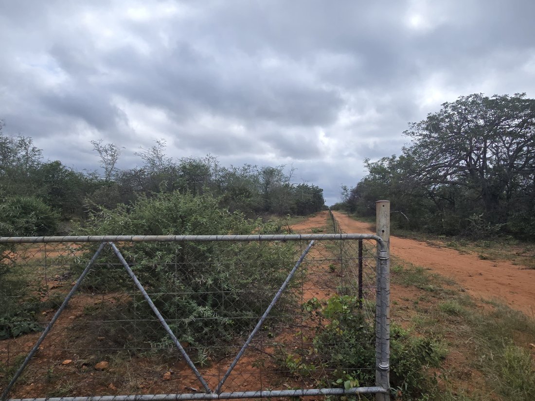 Farm Ranch in Alldays, Limpopo, South Africa 5 - 17853743