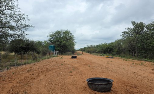 Farm Ranch in Alldays, Limpopo, South Africa 1