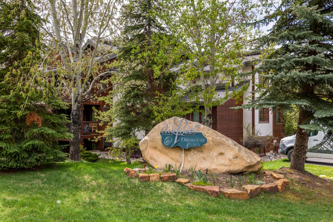 Condo in Steamboat Springs, Colorado, United States 5 - 17501065