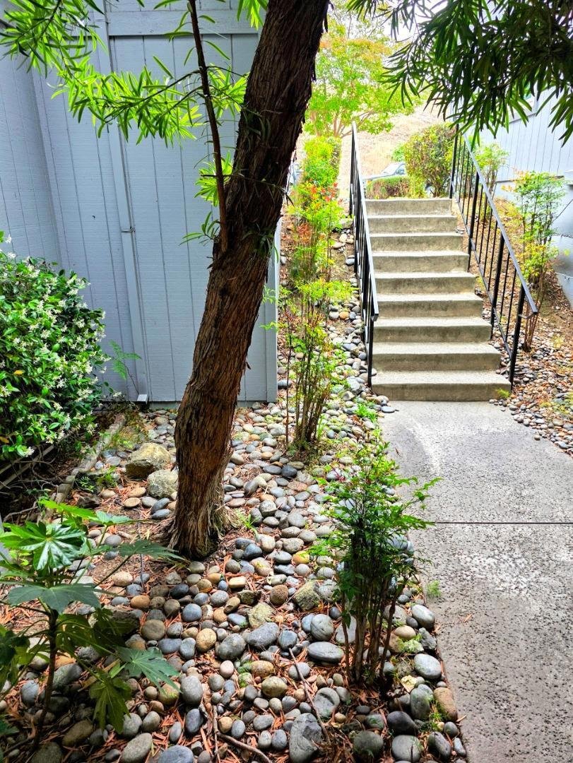 House in San Jose, California, United States 4 - 17854066
