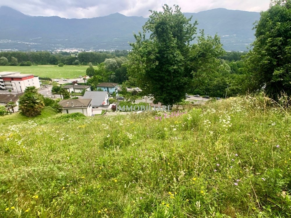 Land in Bellinzona, Ticino, Switzerland 2 - 16798514