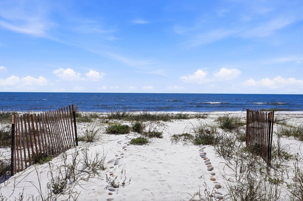 House in Alligator Point, Florida, United States 2 - 17857568