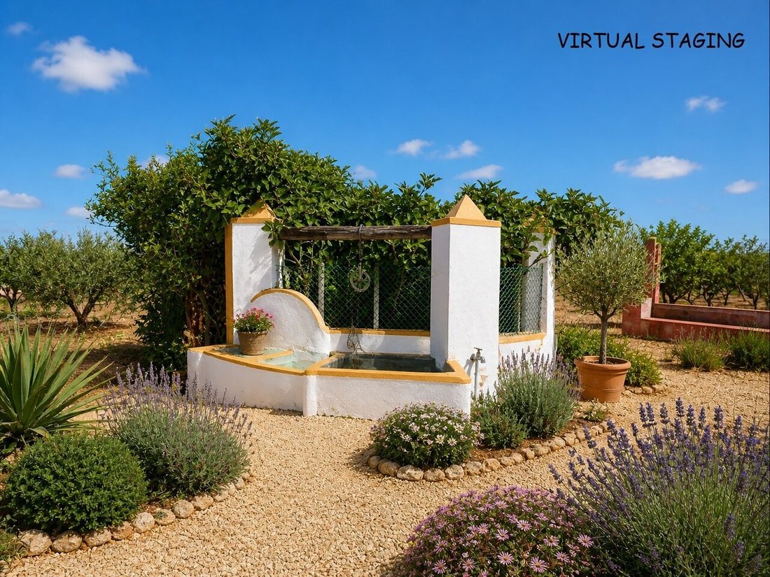 Farm Ranch in Alcantarilha, Algarve, Portugal 5 - 12856366