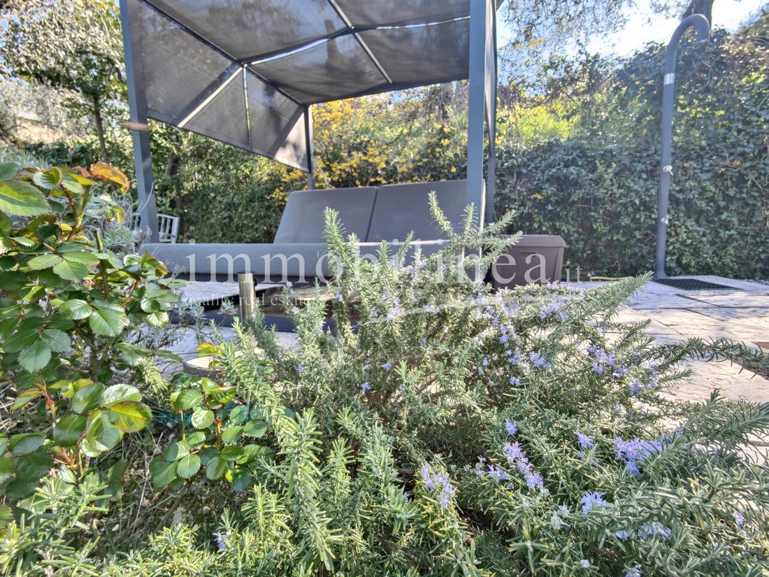 Apartment in Torri del Benaco, Veneto, Italy 4 - 16556282