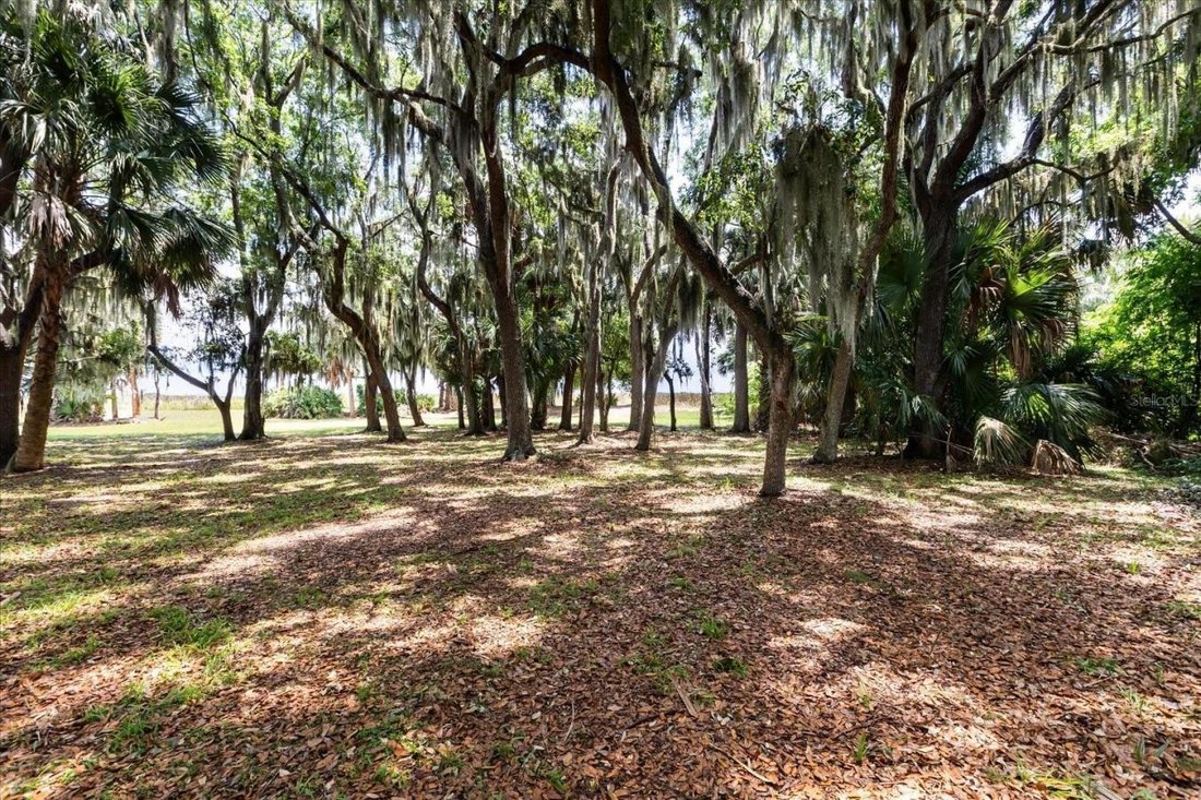 House in Tavares, Florida, United States 5 - 17858763