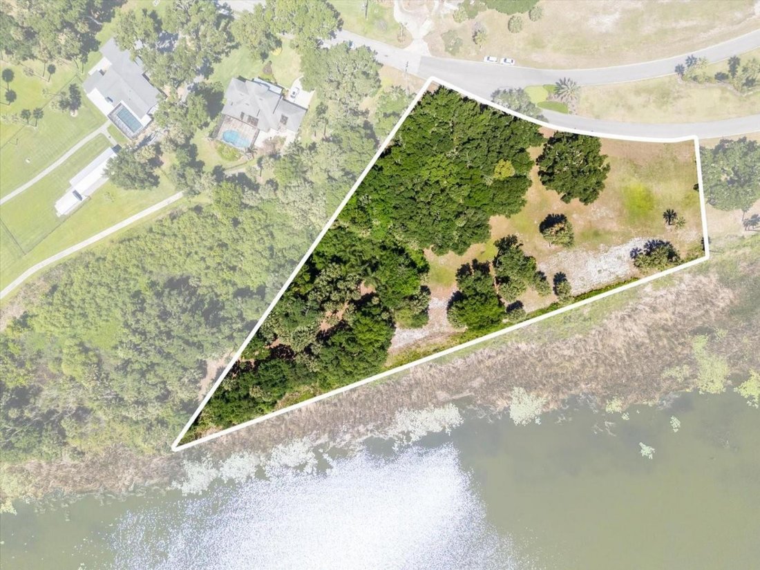 House in Tavares, Florida, United States 3 - 17858763