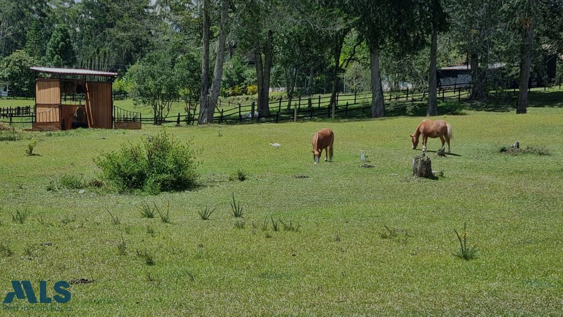 Land in El Retiro, Retiro, Colombia 2 - 17858698