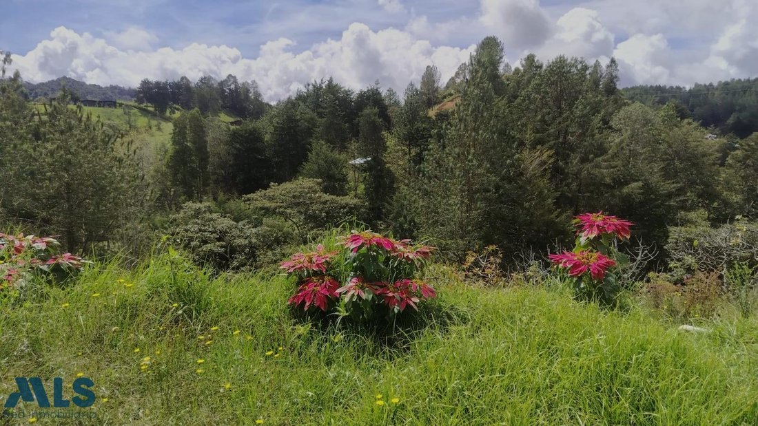 Land in El Retiro, Retiro, Colombia 4 - 17858768