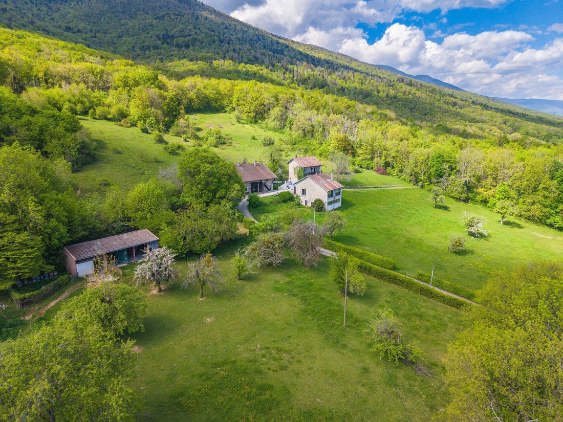 Farm Ranch in Sergy, Auvergne-Rhône-Alpes, France 3 - 17858994