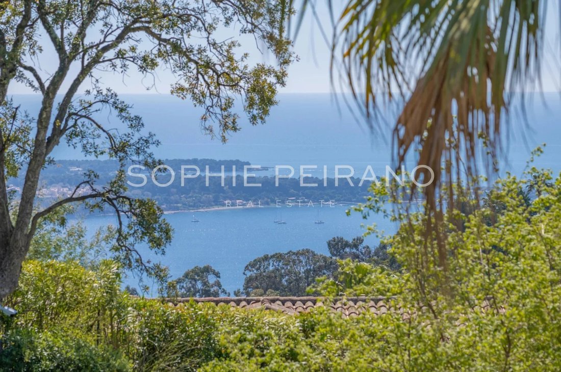 Villa in Cannes, Provence-Alpes-Côte d'Azur, France 2 - 17859107
