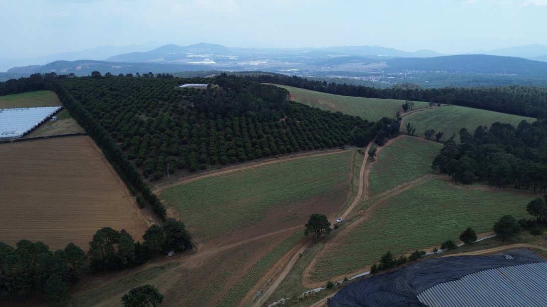 Land in Tapalpa, Jalisco, Mexico 4 - 16610246