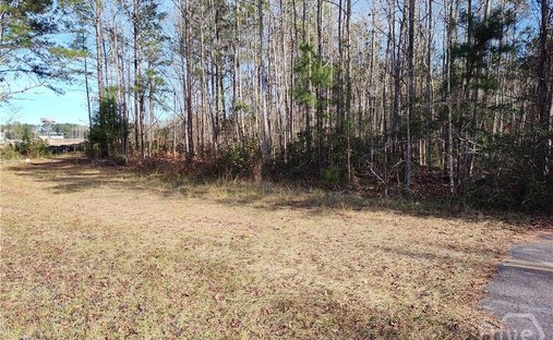 Land in Pooler, Georgia, United States 1