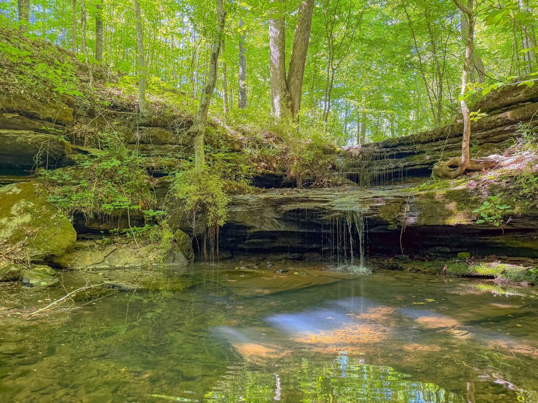 Farm Ranch in Pulaski, Tennessee, United States 1 - 17440418