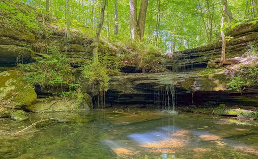 Farm Ranch in Pulaski, Tennessee, United States 1