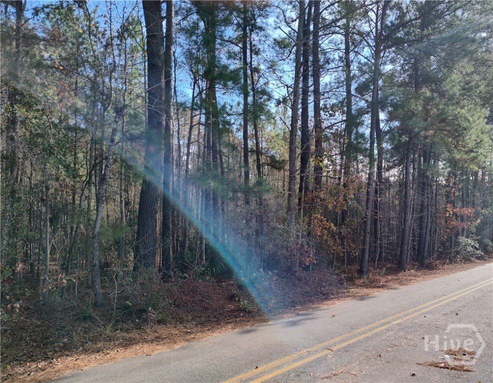 Land in Pooler, Georgia, United States 5 - 17859791