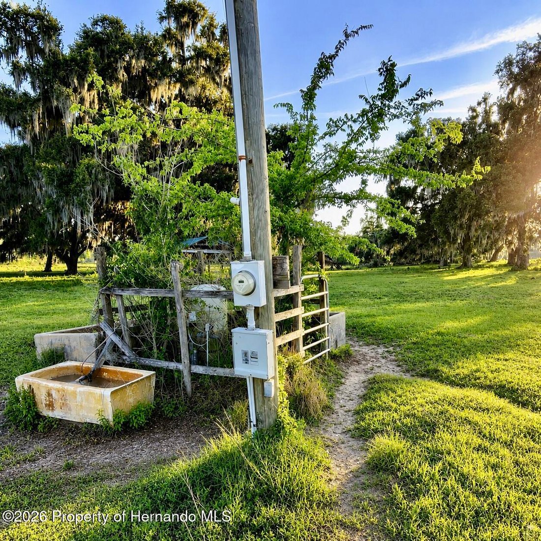 Land in South Brooksville, Florida, United States 5 - 17859211