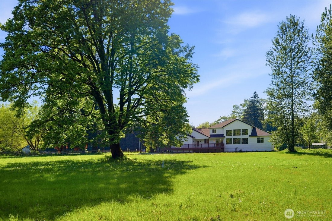 House in Olympia, Washington, United States 4 - 17859575