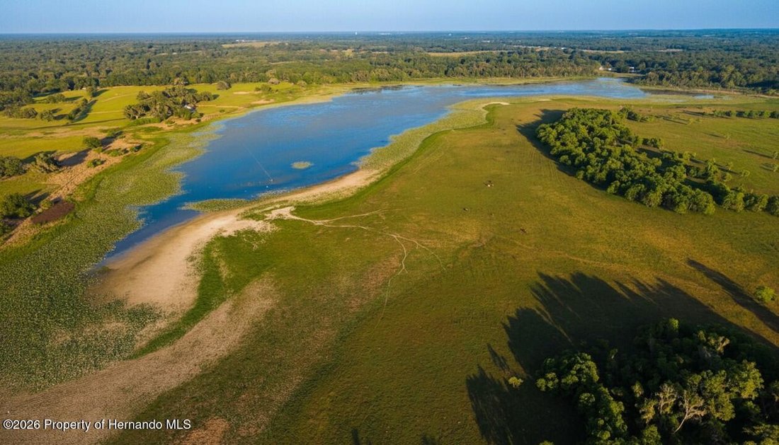 Land in South Brooksville, Florida, United States 3 - 17859211