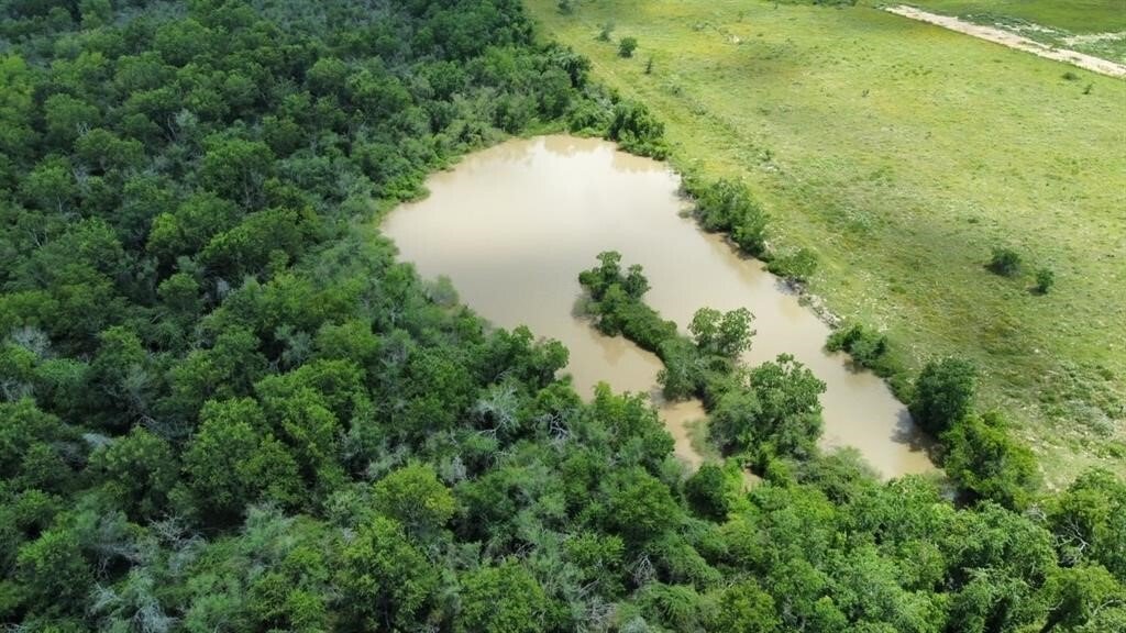 Land in Sealy, Texas, United States 3 - 17859563