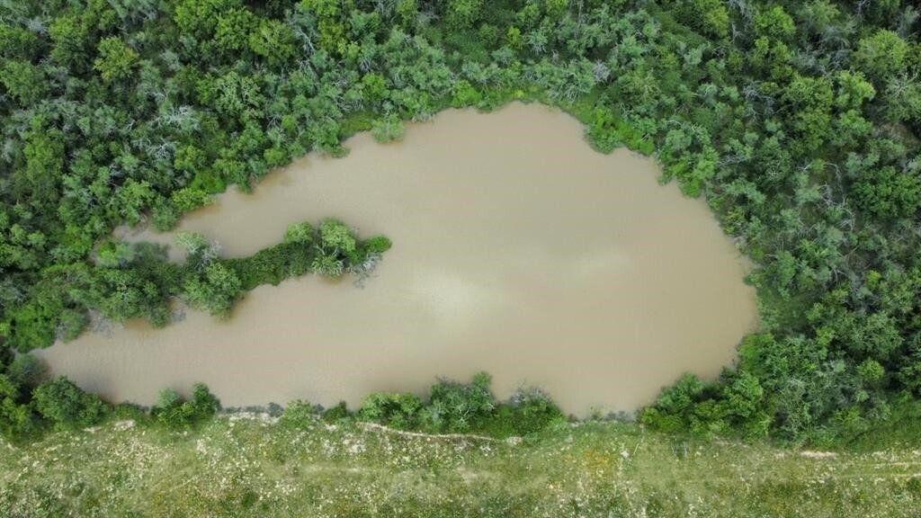 Land in Sealy, Texas, United States 5 - 17859563