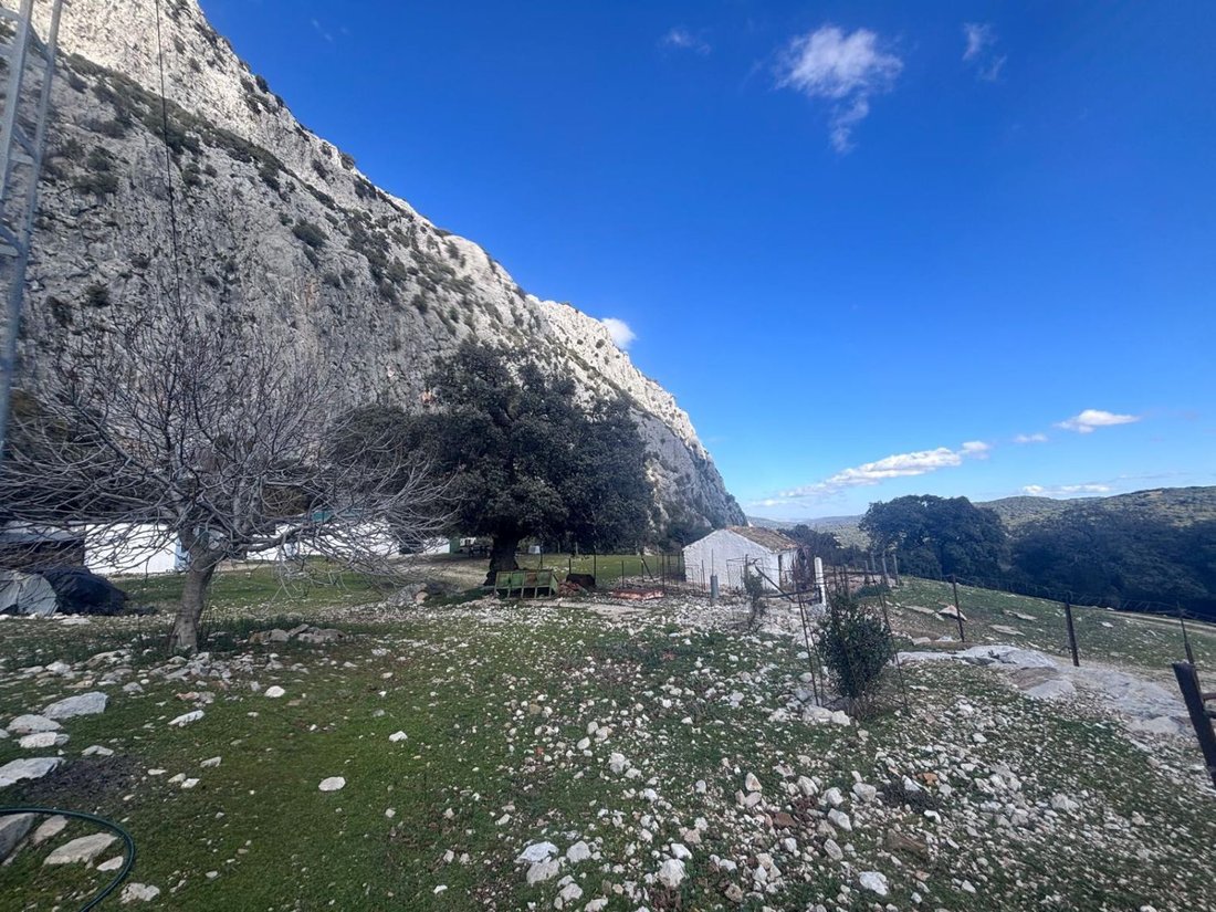 Country House in Villaluenga del Rosario, Andalusia, Spain 3 - 17860232