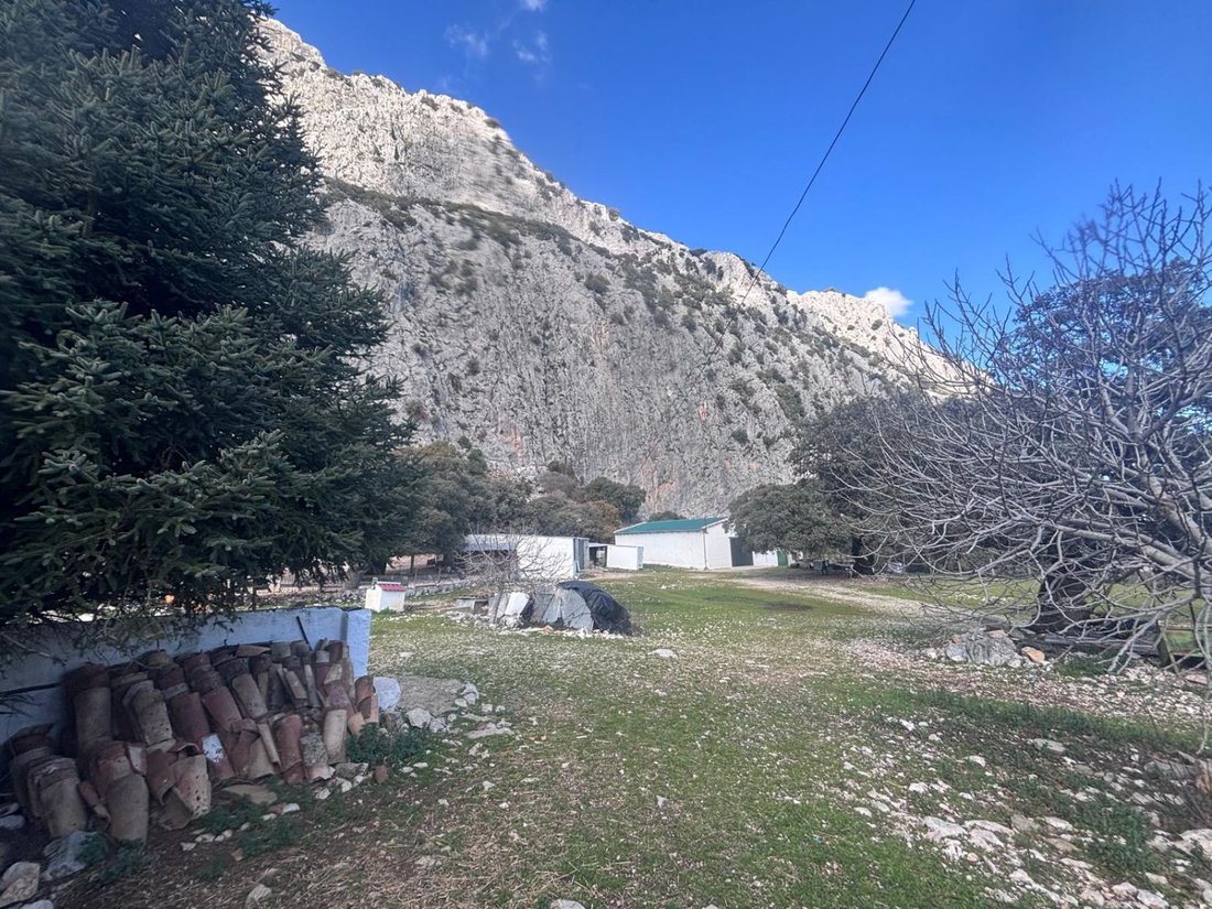 Country House in Villaluenga del Rosario, Andalusia, Spain 5 - 17860232