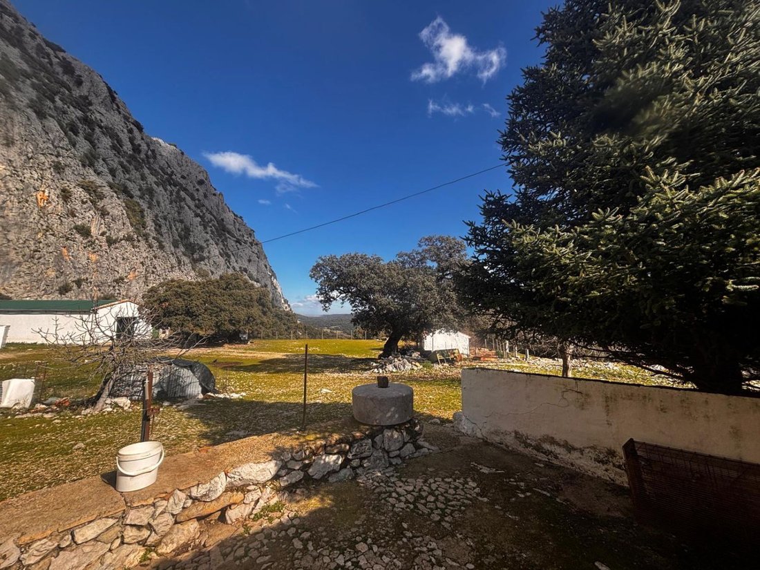 Country House in Villaluenga del Rosario, Andalusia, Spain 2 - 17860232