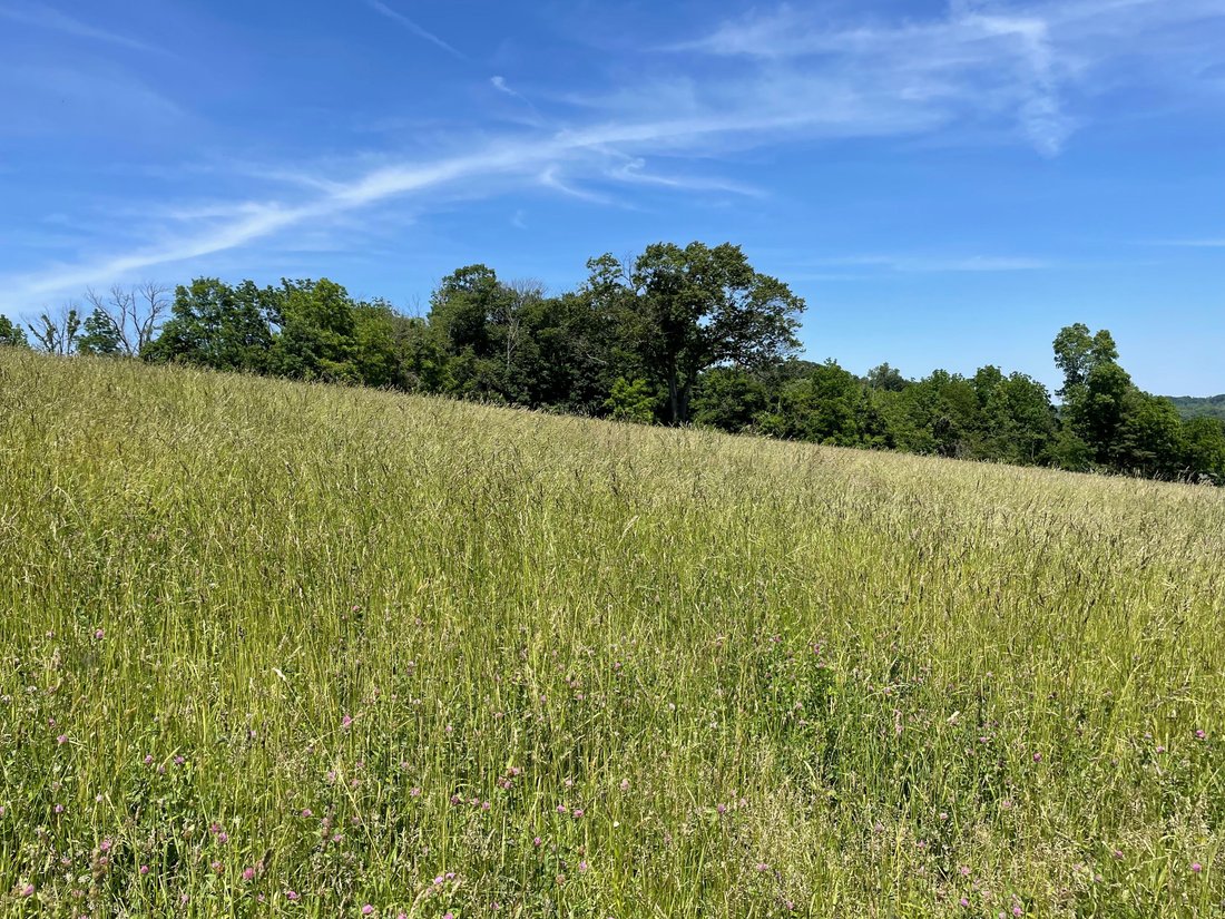 Land in Doylestown, Pennsylvania, United States 4 - 17860402
