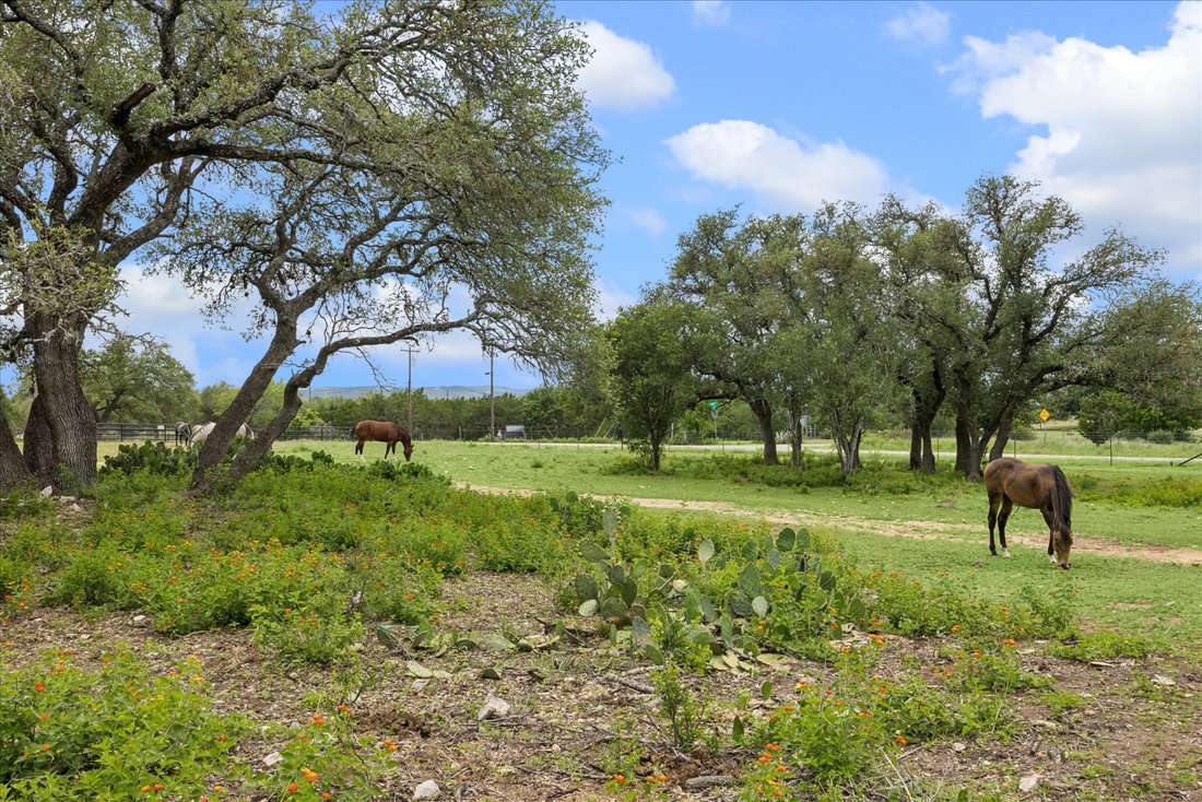 Farm Ranch in Dripping Springs, Texas, Vereinigte Staaten 1 - 17863209