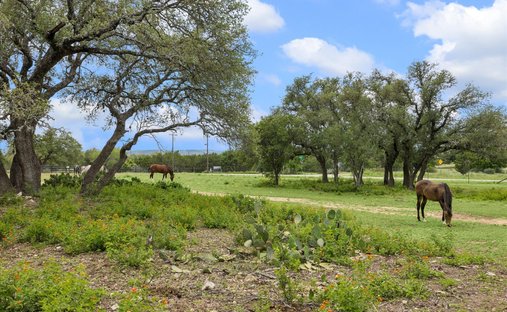 Farm Ranch in Dripping Springs, Texas, Vereinigte Staaten 1
