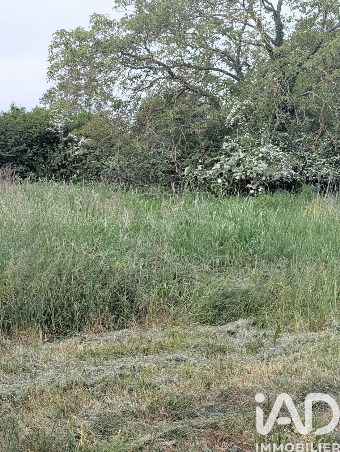 Land in Boulay-Moselle, Grand Est, France 2 - 17863944