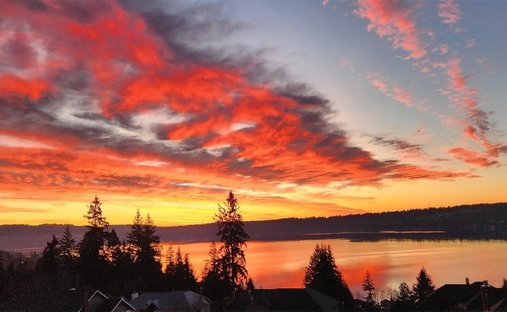 House in Sammamish, Washington, United States 1