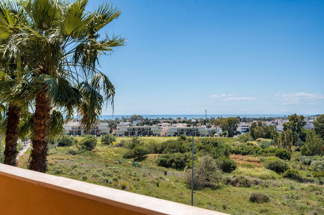 Apartment in Nueva Andalucia, Marbella, Spain 2 - 16910243