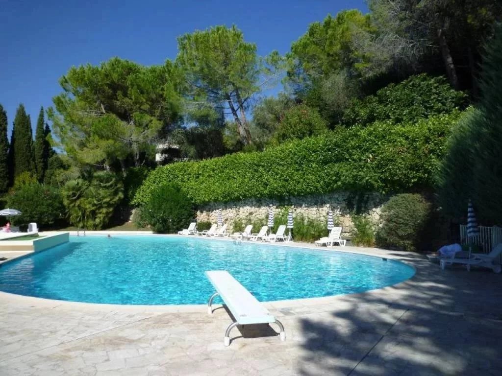 Apartment in Camp Long, Cannes, France 3 - 17862973