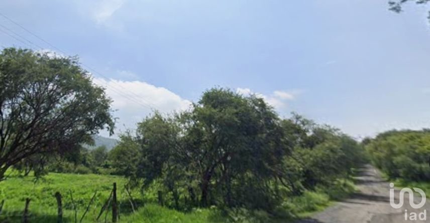 Land in Ixtlahuacán de los Membrillos, Jalisco, Mexico 5 - 15804545
