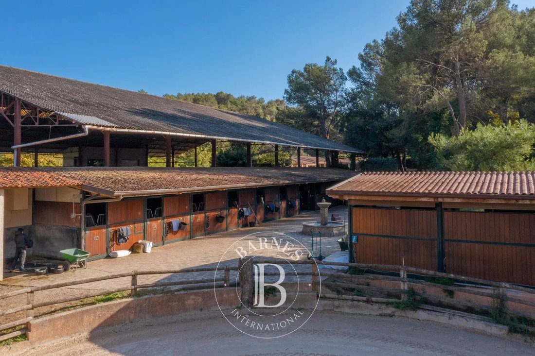 Estate in Nord, Roquefort-les-Pins, France 4 - 17862580