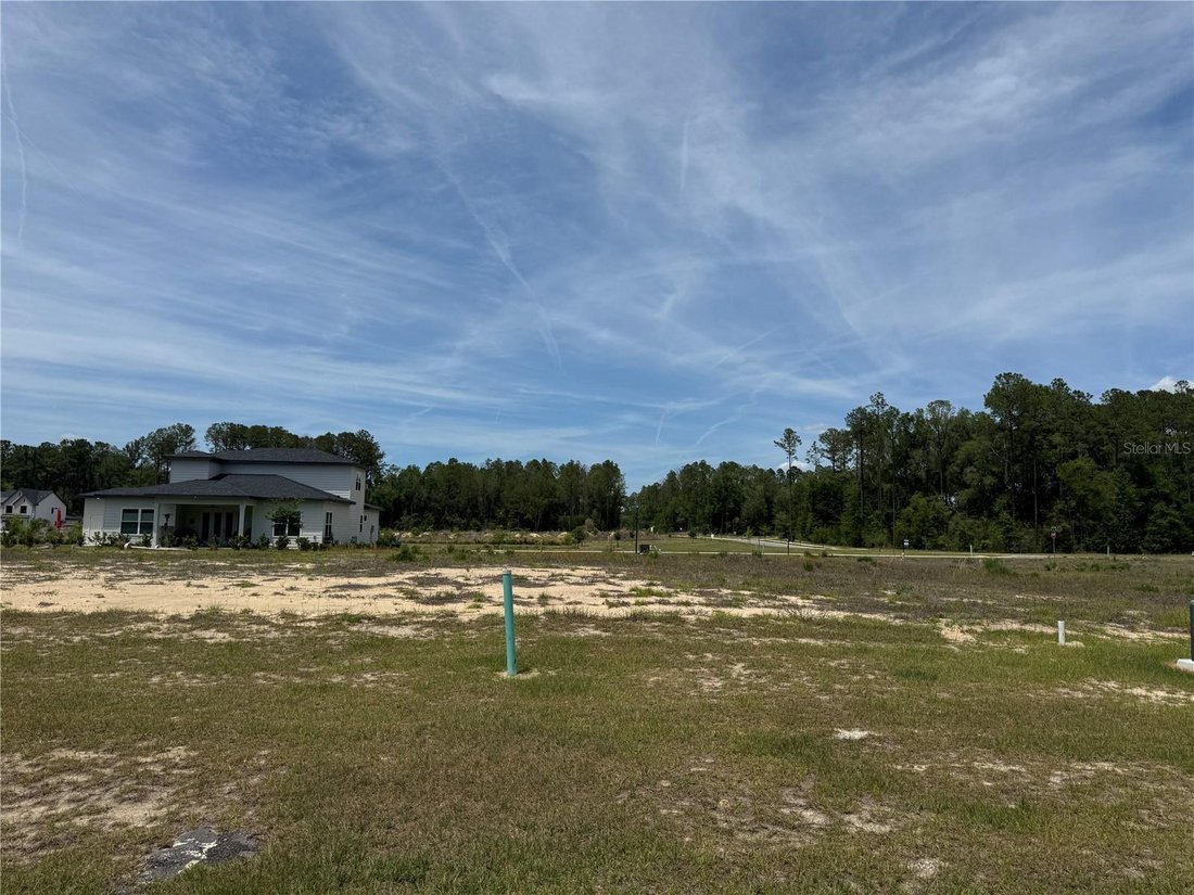 House in Newberry, Florida, United States 5 - 17861112