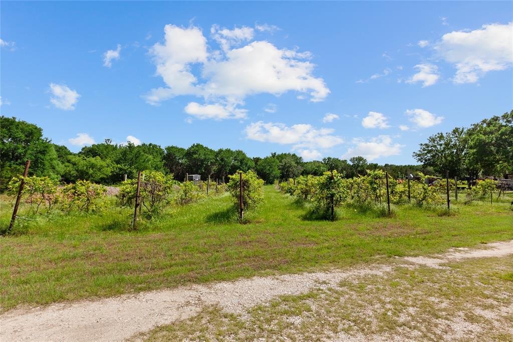 Morgan, Texas, United States 4 - 17866548