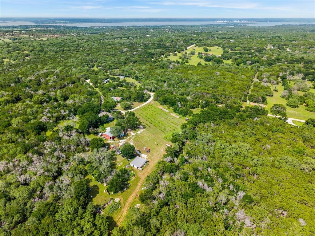 Morgan, Texas, United States 2 - 17866548