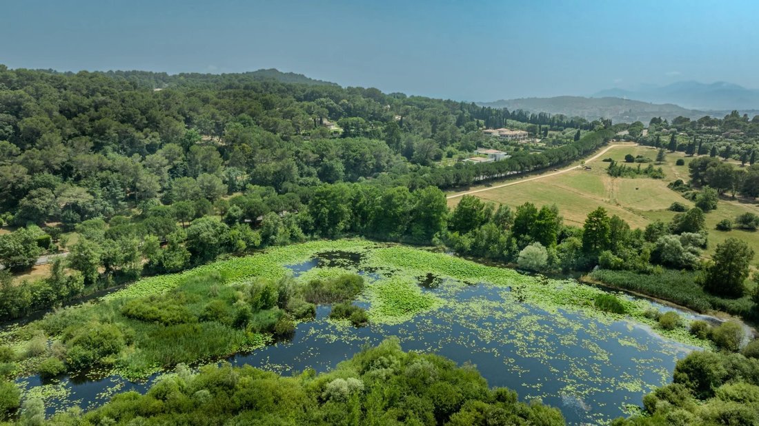 Land in Mougins, Provence-Alpes-Côte d'Azur, France 4 - 17862812