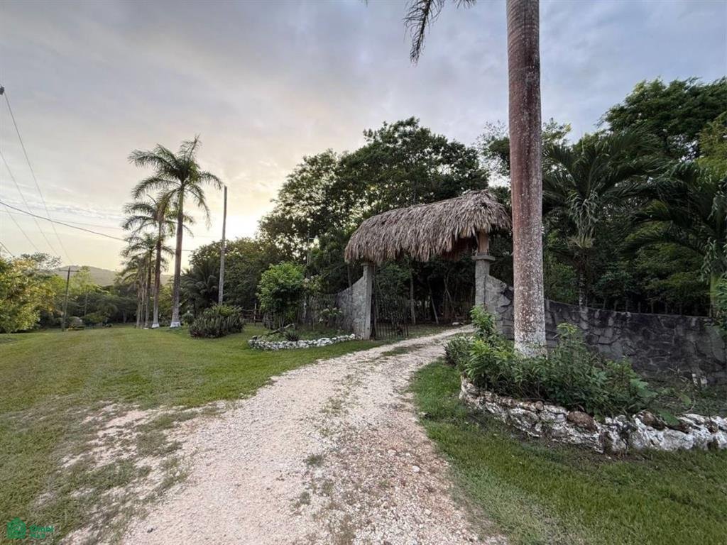Investor’s Dream – 46+ Acres with Highway & River Frontage in Cristo Rey, Cayo District