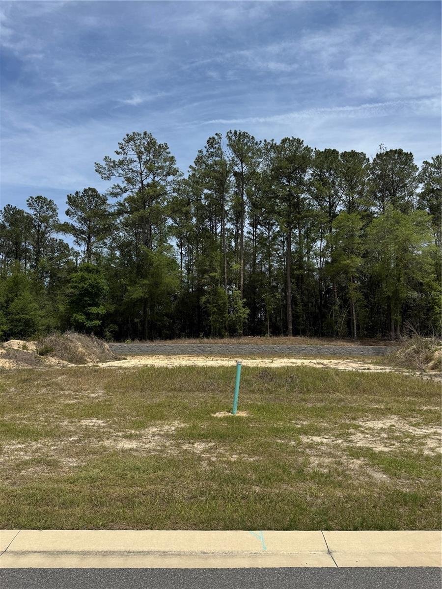 House in Newberry, Florida, United States 5 - 17861105